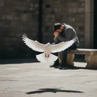 Biały gołąb zstępujący na kamienny dziedziniec. W tle, osoba pogrążona w cichej modlitwie.