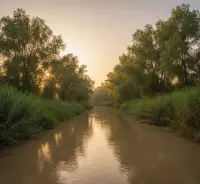 Krajobraz rzeki Jordan o zachodzie słońca, szuwary i mętna woda.