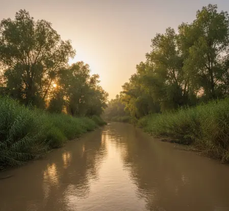 Krajobraz rzeki Jordan o zachodzie słońca, szuwary i mętna woda.